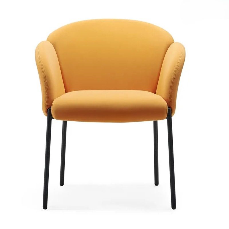 Ghế lounge bọc da PU cao cấp ANETO WF30722 Ghế lounge bọc da PU cao cấp ANETO WF30722 - Ảnh 4