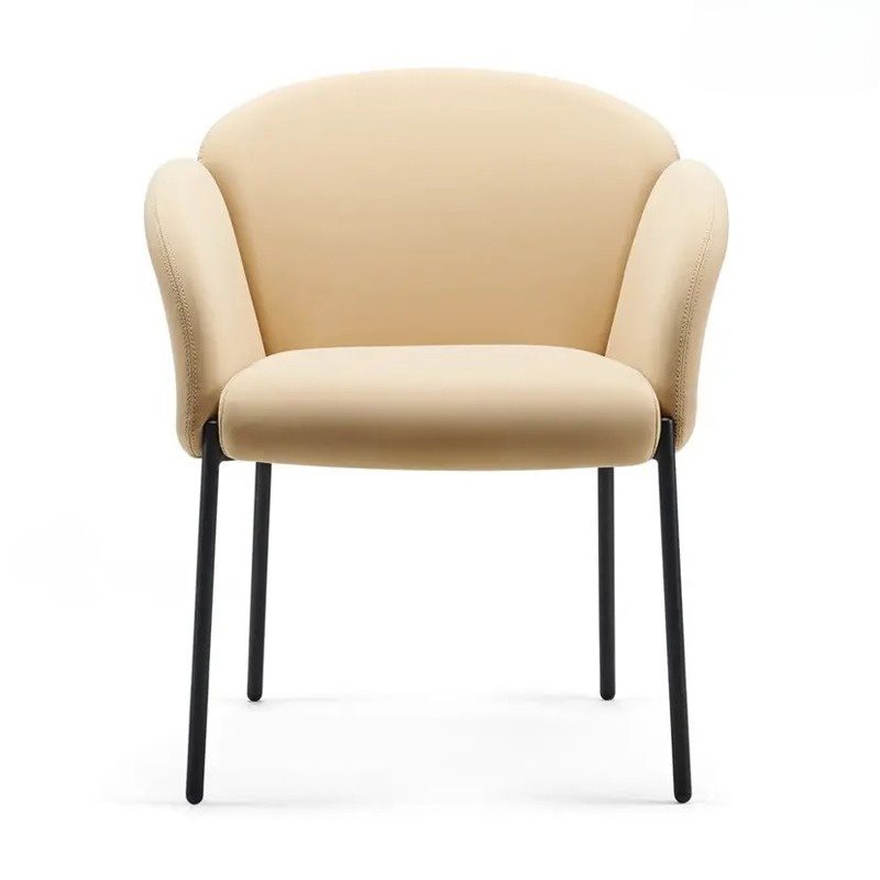 Ghế lounge bọc da PU cao cấp ANETO WF30722 Ghế lounge bọc da PU cao cấp ANETO WF30722 - Ảnh 8