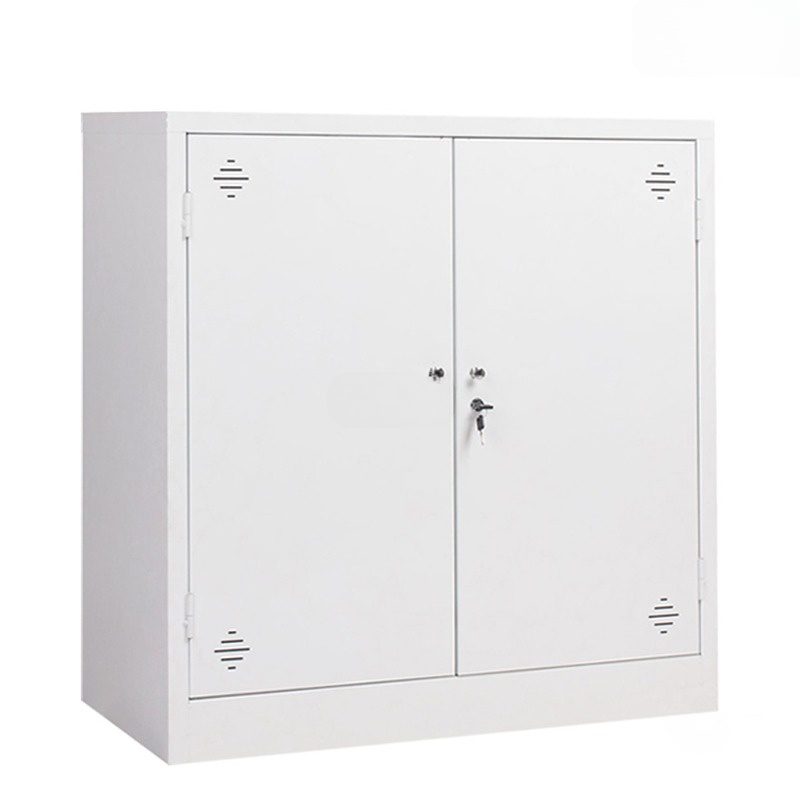 Tủ tài liệu sắt hai cánh nhỏ gọn - TD32264 Tủ tài liệu sắt hai cánh nhỏ gọn - TD32264 - Ảnh 2