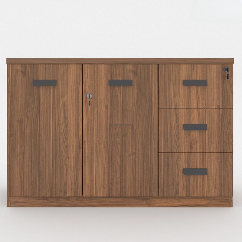 Tủ Hồ Sơ Hiện Đại TW32567 Tủ Hồ Sơ Hiện Đại TW32567 - Ảnh 4