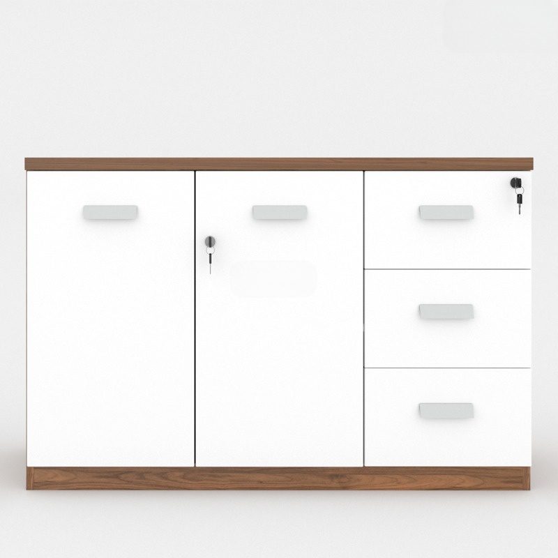 Tủ Hồ Sơ Melamine Cao Cấp CL80-03T Tủ Hồ Sơ Melamine Cao Cấp CL80-03T - Ảnh 4