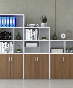 Tủ tài liệu cao cấp Nội thất Sài Gòn TW32753