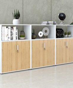 Tủ tài liệu văn phòng đa năng Nội thất Sài Gòn TW32795 - Ảnh 2