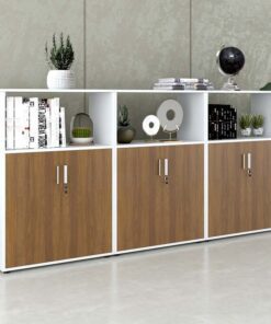 Tủ tài liệu văn phòng đa năng Nội thất Sài Gòn TW32795 - Ảnh 5