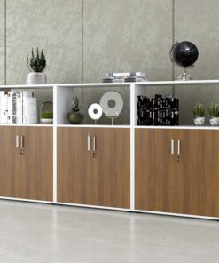 Tủ tài liệu văn phòng đa năng Nội thất Sài Gòn TW32795 - Ảnh 6