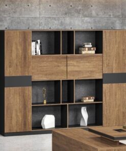 Tủ tài liệu phòng giám đốc ANETO DD33129