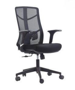 Ghế văn phòng cao cấp ANETO MD37604