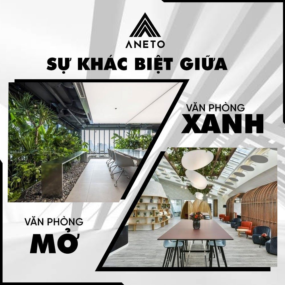 So sánh sự khác biệt giữa văn phòng xanh và văn phòng mở