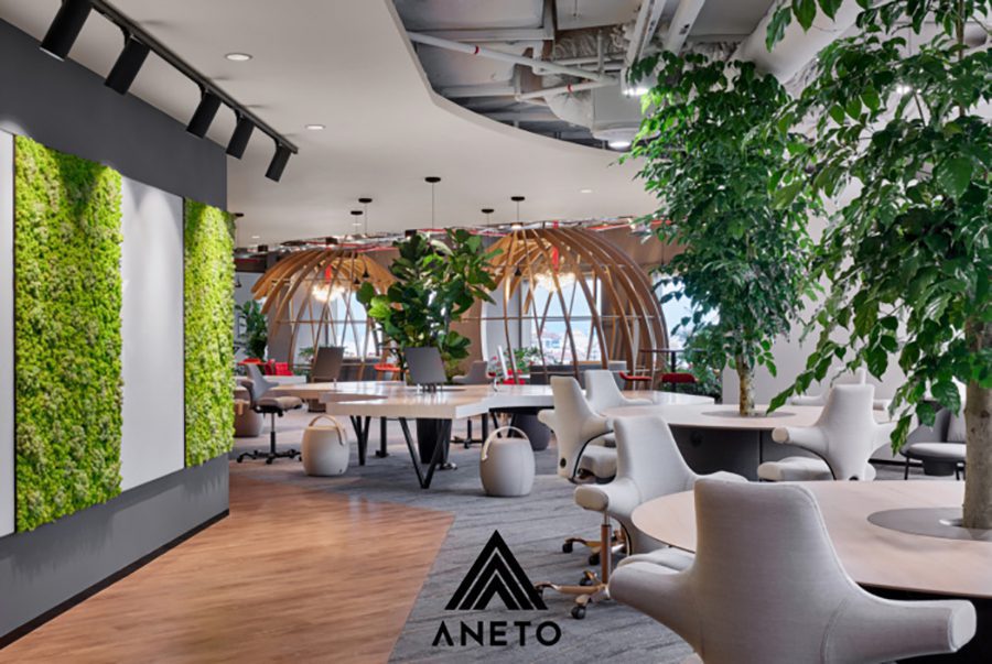 Thiết kế nội thất văn phòng phong cách ECO Thiết kế nội thất văn phòng phong cách ECO