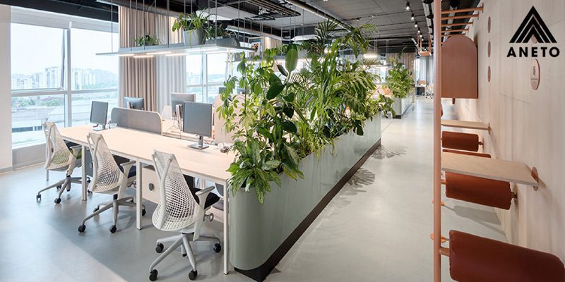 Thiết kế văn phòng diện tích 100m2 tối ưu không gian