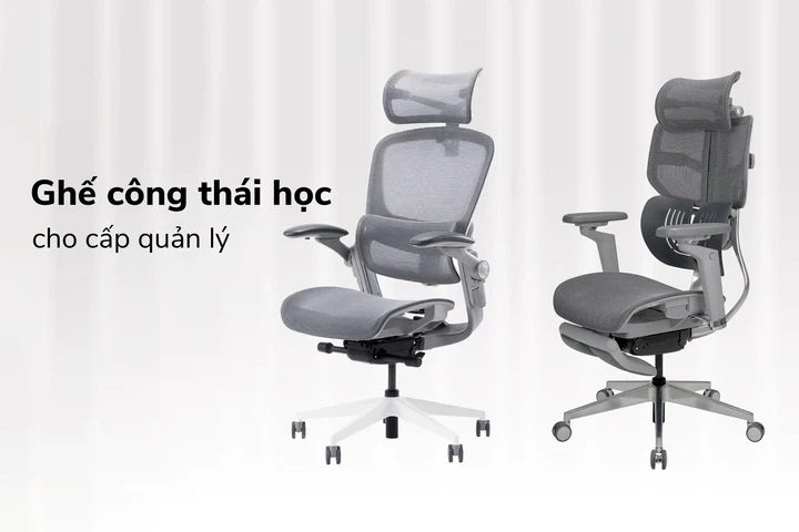 Ghế Công Thái Học Cho Cấp Quản Lý: Có Nên Đầu Tư?