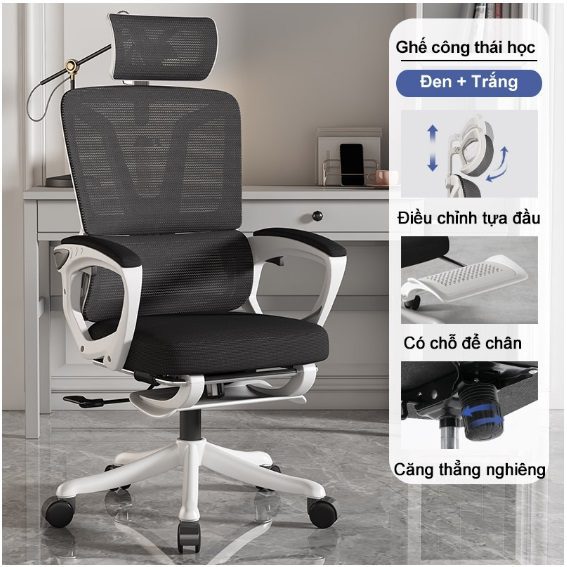 Ghế công thái học MO0542508 – Khi tư thế ngồi trở thành nghệ thuật của sức khỏe và hiệu suất làm việc Ghế công thái học MO0542508 – Khi tư thế ngồi trở thành nghệ thuật của sức khỏe và hiệu suất làm việc