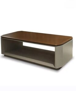 Bàn trà hiện đại SKU GT29816