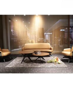 Sofa văng da cao cấp ANETO SV31511 Sofa văng da cao cấp ANETO SV31511 - Ảnh 4