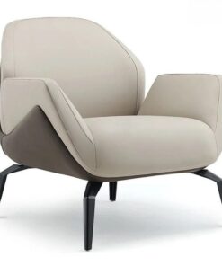 Alternative view of Sofa đơn cao cấp ANETO SI31683