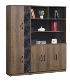 Tủ đựng hồ sơ giám đốc cao cấp S66 OC32444
