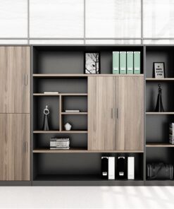 Tủ Tài Liệu Văn Phòng Cao Cấp Sài Gòn OC32439