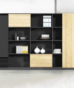 Tủ tài liệu cao cấp Office OC32393