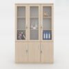 Tủ tài liệu kính cường lực Melamine TW32620