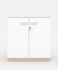 Tủ Đựng Tài Liệu Sài Gòn TW32580
