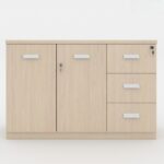 Tủ Hồ Sơ Hiện Đại TW32567 Tủ Hồ Sơ Hiện Đại TW32567