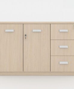 Tủ Hồ Sơ Hiện Đại TW32567