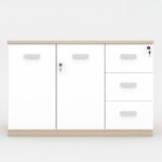 Tủ Hồ Sơ Melamine Cao Cấp CL80-03T Tủ Hồ Sơ Melamine Cao Cấp CL80-03T