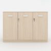 Tủ Tài Liệu MDF Hiện Đại, Bền Bỉ - TW32552 Tủ Tài Liệu MDF Hiện Đại, Bền Bỉ - TW32552