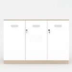 Tủ tài liệu Melamine MDF cao cấp TW32545 Tủ tài liệu Melamine MDF cao cấp TW32545