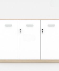 Tủ tài liệu Melamine MDF cao cấp TW32545