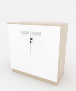 Tủ Đựng Tài Liệu Sài Gòn TW32580 Tủ Đựng Tài Liệu Sài Gòn TW32580 - Ảnh 3