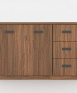 Tủ Hồ Sơ Hiện Đại TW32567 Tủ Hồ Sơ Hiện Đại TW32567 - Ảnh 4