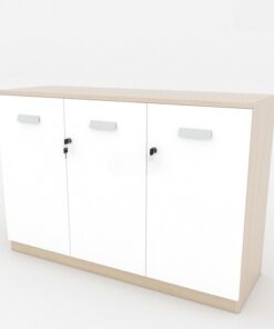 Tủ tài liệu Melamine MDF cao cấp TW32545 - Ảnh 3