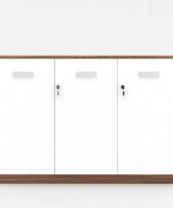 Tủ tài liệu Melamine MDF cao cấp TW32545 - Ảnh 4