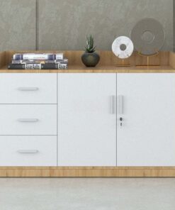 Tủ đựng tài liệu hạng sang Sài Gòn TW32747