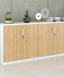 Tủ tài liệu hiện đại TW32740 - Ảnh 2