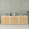 Tủ tài liệu công nghiệp Melamine cao cấp TW32733