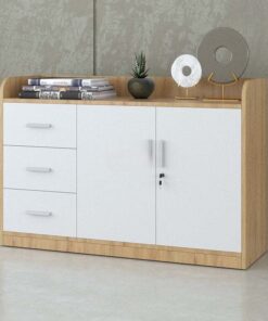Tủ đựng tài liệu hạng sang Sài Gòn TW32747 Tủ đựng tài liệu hạng sang Sài Gòn TW32747 - Ảnh 3