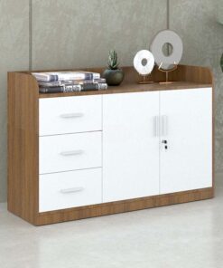 Tủ đựng tài liệu hạng sang Sài Gòn TW32747 Tủ đựng tài liệu hạng sang Sài Gòn TW32747 - Ảnh 5