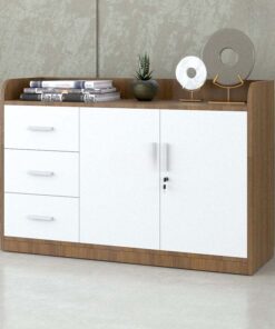 Tủ đựng tài liệu hạng sang Sài Gòn TW32747 Tủ đựng tài liệu hạng sang Sài Gòn TW32747 - Ảnh 6