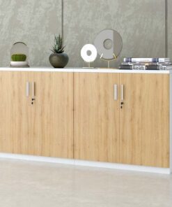 Tủ tài liệu hiện đại TW32740 - Ảnh 3