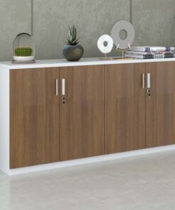 Tủ tài liệu hiện đại TW32740 - Ảnh 5