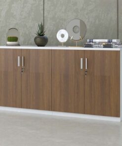 Tủ tài liệu hiện đại TW32740 - Ảnh 6