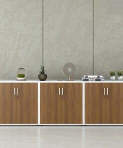 Tủ tài liệu công nghiệp Melamine cao cấp TW32733 - Ảnh 4