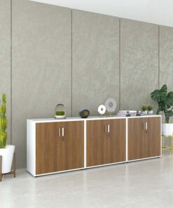 Tủ tài liệu công nghiệp Melamine cao cấp TW32733 - Ảnh 5