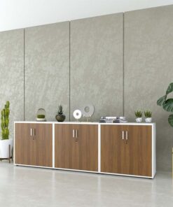 Tủ tài liệu công nghiệp Melamine cao cấp TW32733 - Ảnh 6