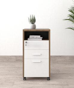 Tủ phụ lưu trữ di động nhỏ gọn, chất lượng cao - TW32816 - Ảnh 2