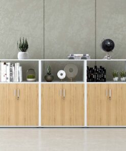 Tủ tài liệu văn phòng đa năng Nội thất Sài Gòn TW32795