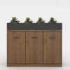 Tủ lưu trữ trang trí đa năng TW32899