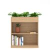 Tủ cây trang trí TW32884 (SKU: TW32884)